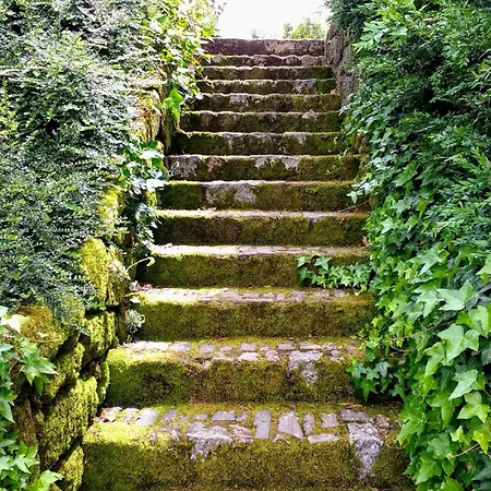 Πανσιόν Casa Do Prado Vila Real