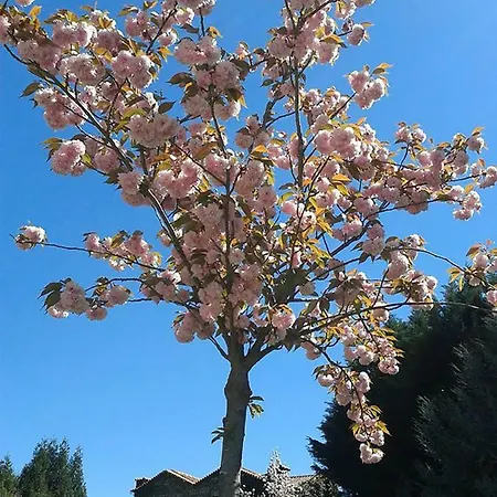 Casa Do Prado 4* Vila Real