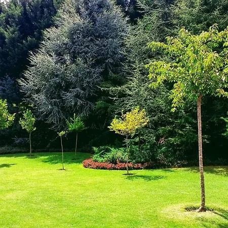 Casa Do Prado 4* Vila Real