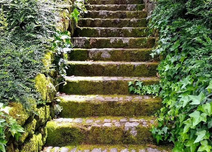 Vendégház Casa Do Prado Vila Real