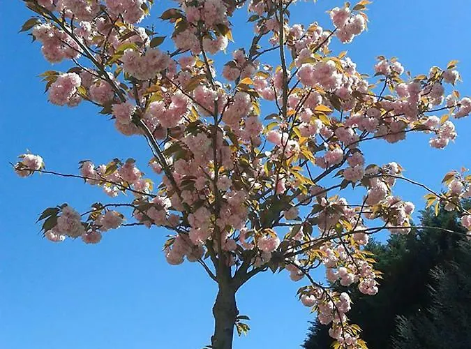 Casa Do Prado 4* Vila Real